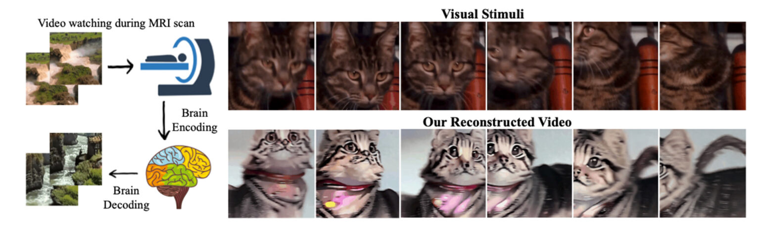 ai image generation from fmri augmented stable diffusion