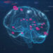 Brain activity video, medical devices, AI, cognition, perception