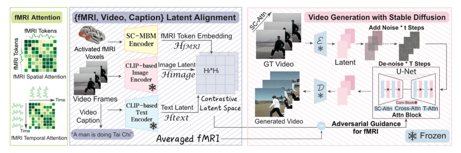 mind video method fmri encoder stable diffusion